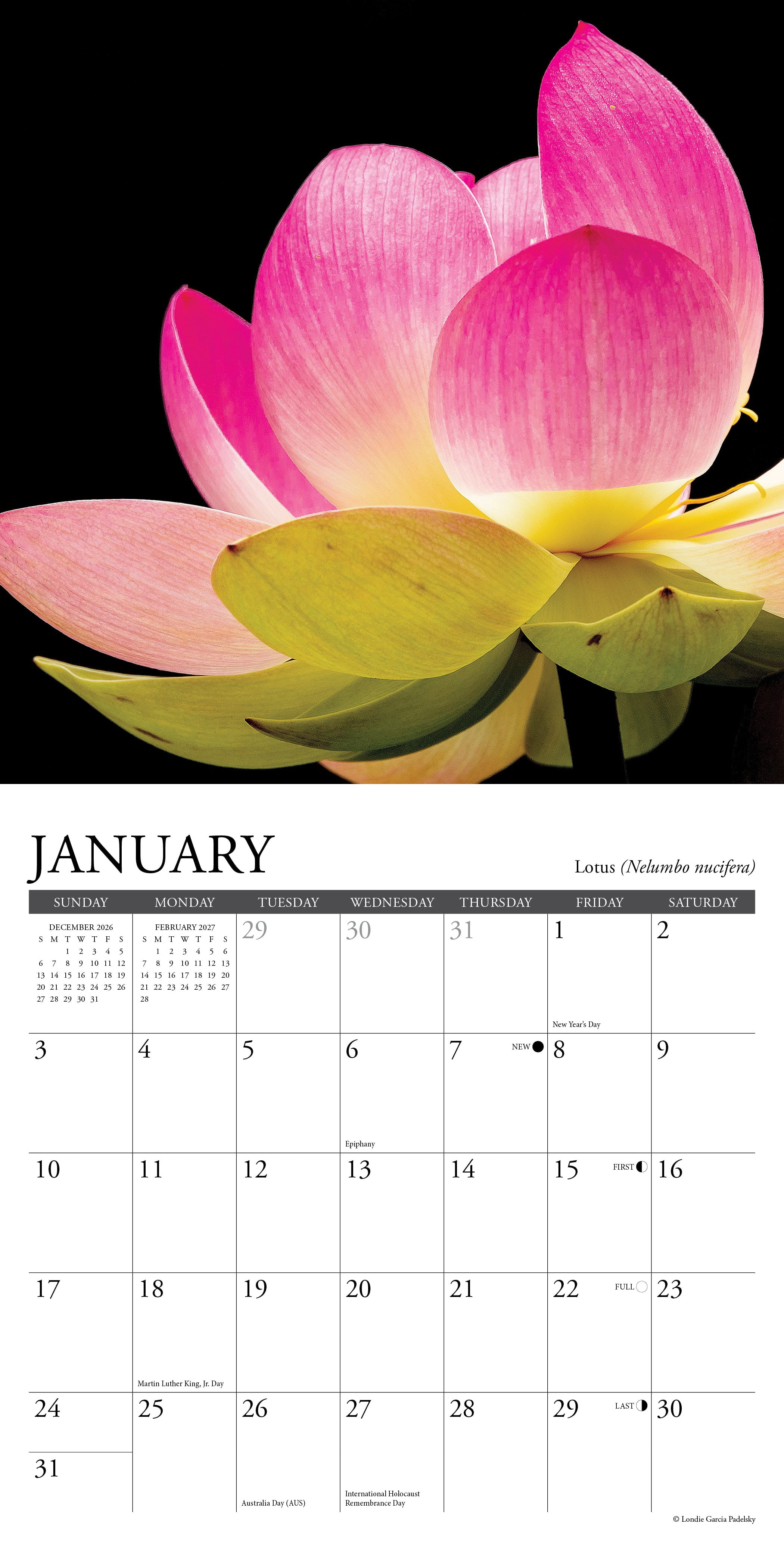 Willow Creek Press, Flowers 2027 Mini Wall Calendar
