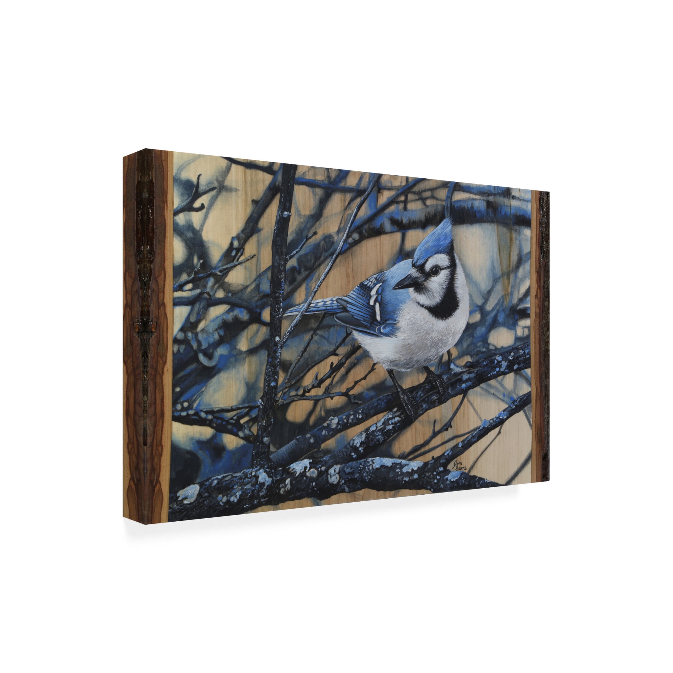 Canvas Wall Art - Jim Brune 'The Blue Jays Blues' Wall Art for Living Room, Bedroom, or Office Décor by Trademark Fine Art - 19 x 12 Inches