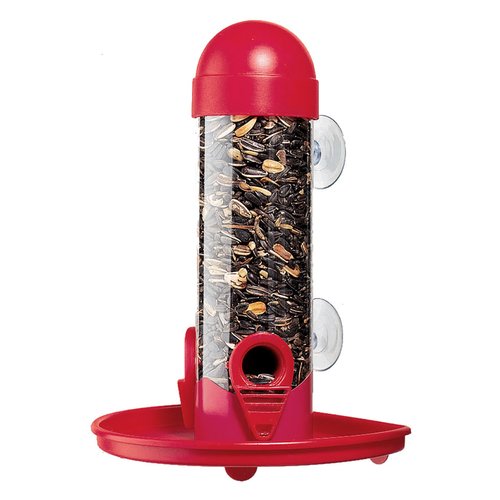 PerkyPet Window Bird Feeder
