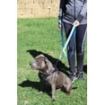 thumbnail image 4 of Correa para perros Primal Pet Gear, doble asa, nailon, 1,8 m, azul, 4 of 9