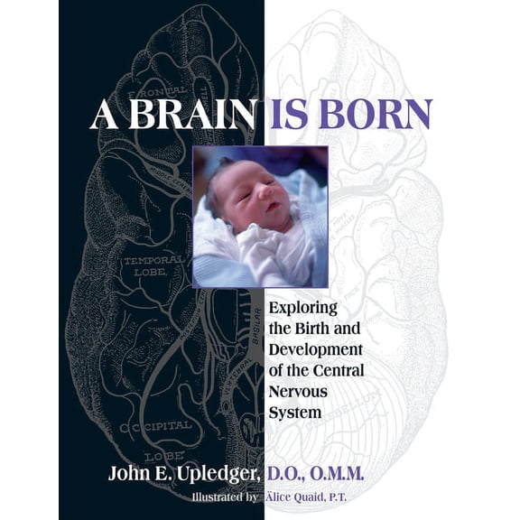 A Brain Is Born : Exploring the Birth and Development of the Central Nervous System (Paperback)