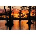 thumbnail image 2 of Jones, Adam 14x11 Black Ornate Wood Framed with Double Matting Museum Art Print Titled - Bald cypress trees silhouetted at sunset Caddo Lake-Uncertain-Texas, 2 of 4