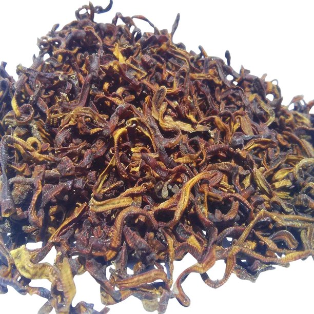 Aquatic Foods Freeze Dried Earthworms, Perfect for Large Tropicals