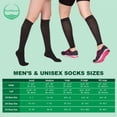 thumbnail image 2 of EvoNation Men's Classic Ribbed 15-20 mmHg Compression Socks, 2 of 7