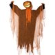 thumbnail image 1 of Calabaza Halloween 5533161+11, 1 of 9