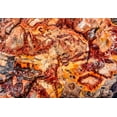 thumbnail image 2 of Perry, William 18x14 White Modern Wood Framed Museum Art Print Titled - Red-orange and yellow petrified wood abstract-Blue Mesa-Petrified Forest National Park-Arizona, 2 of 4