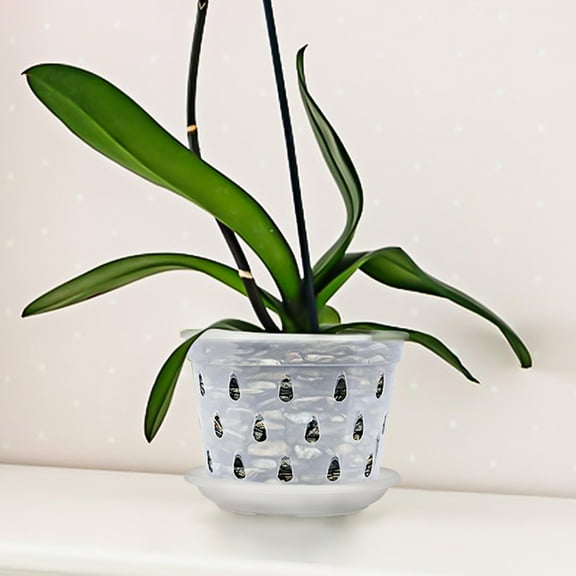 FRCOLOR 3 Sets of Household Planter Orchid Flower Pot with Drainage Hole Garden Small Orchid Pot with Holes