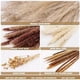 thumbnail image 3 of Juego de 90 decoraciones de flores secas, 5 tipos de ramo de flores secas naturales, decoración de pampas blancas, flores, decoración bohemia para el hogar, bodas, vacaciones, fiestas, 3 of 5