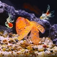 thumbnail image 3 of Soft Silicone Glowing Aquarium Simulation Coral with Sucker Aquatic Artificial Water Plants Orange, 3 of 7