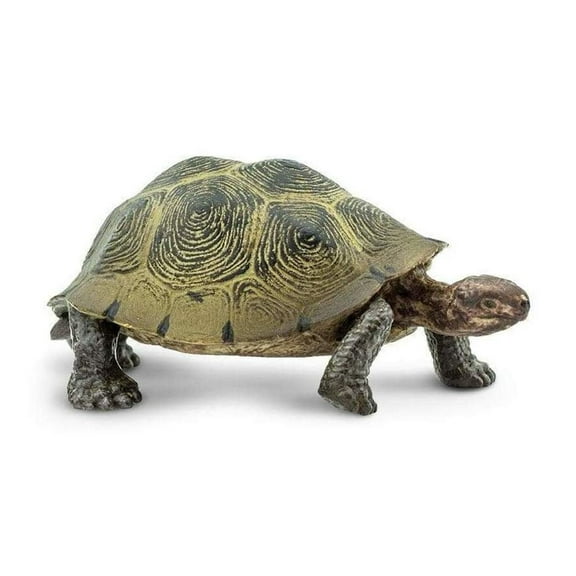 Safari Ltd. Desert Tortoise Figurine - Lifelike 3.25" Wildlife Figure - Educational Toy for Boys, Girls, and Kids Ages 3 