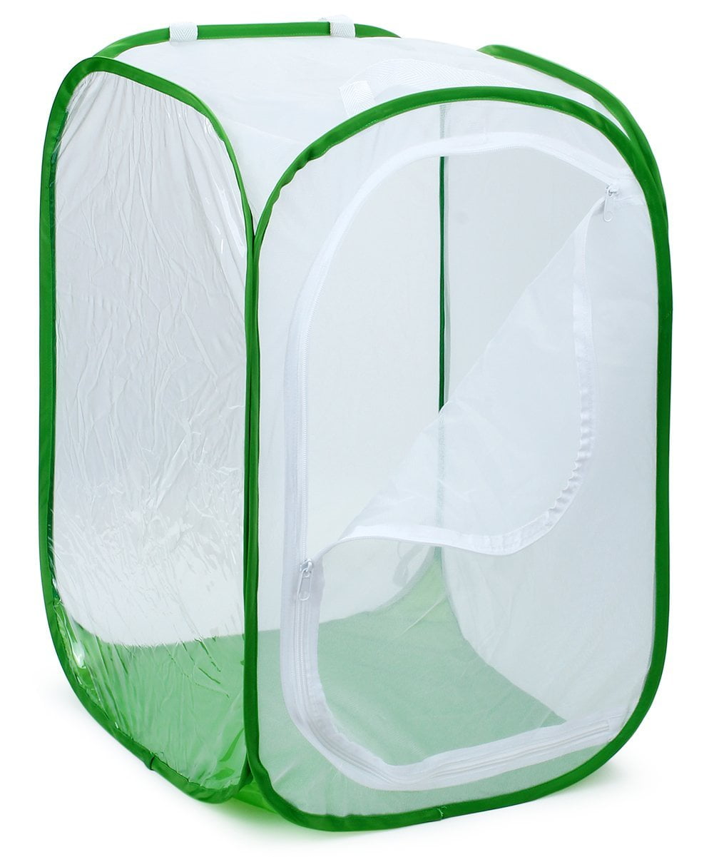 Polyester Bottom for Easier Clean Insect and Butterfly Habitat Cage Terrarium Pop-up 12 X 12 X 12 Inches
