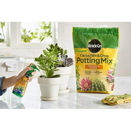 Miracle-Gro Cactus, Palm & Citrus Potting Mix and Miracle-Gro Succulent Plant Food - Black