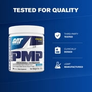 GAT SPORT PMP (Peak Muscle Performance), Pre-Workout, 30 Servings (Blue Raspberry (Stim-Free))