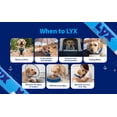 thumbnail image 5 of LYX Essential Hydration for Dogs – Electrolyte & Nutrient Water Enhancer for Active & Senior Dogs – Supports Hydration, Recovery & Wellness – Travel-Friendly Supplement Packets – 7 Count (Chicken), 5 of 10