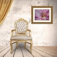 thumbnail image 3 of Petrovic, Snezana 14x12 Gold Ornate Wood Framed with Double Matting Museum Art Print Titled - Gladiolus Priscilla, 3 of 4