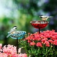 thumbnail image 5 of Couronne COURM38720000 Poppy Stake Feeder Clear, 5 of 7