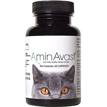 UPC: 0610563634927 | AminAvast Kidney Support for Cats (60 capsules)