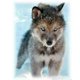 thumbnail image 2 of Cuadros Decorativos DIY Cool Wolf mosaico completo redondo diamante dibujo hecho a mano Rhinestone artesanía regalo Ndcxsfigh Nuevos Originales, 2 of 8