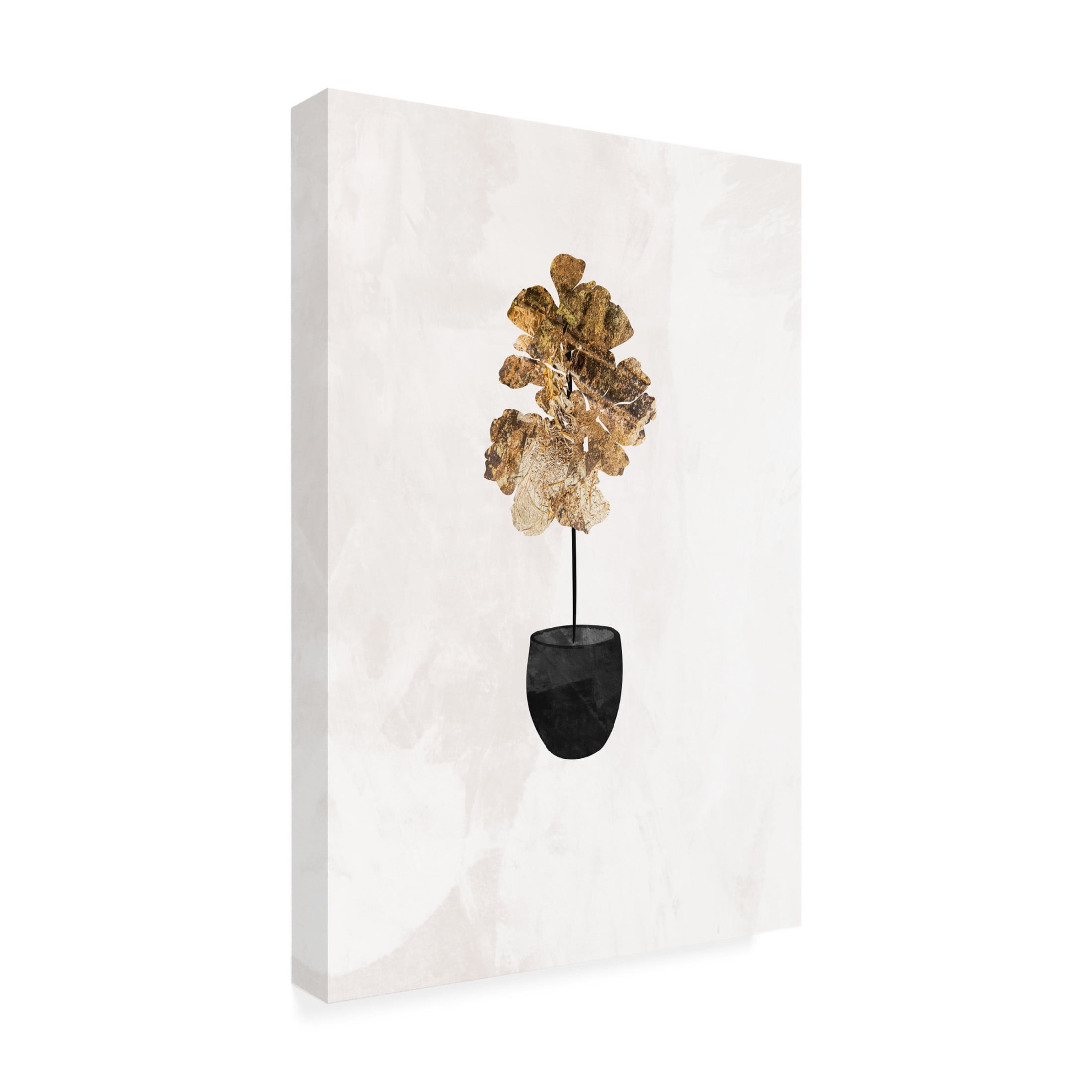 Trademark Fine Art Sarah Manovski  Black and gold house plant 6 Canvas Wall Art