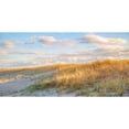thumbnail image 3 of Ryan, Brooke T. 18x11 Black Modern Framed Museum Art Print Titled - Grassy Dunes Panorama, 3 of 5