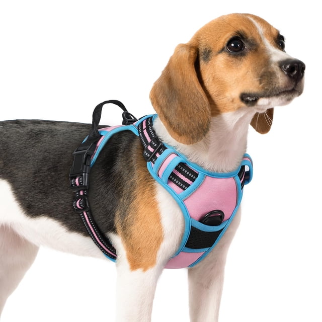 Arnés para perros Rabbitgoo, sin tirones, ajustable para perros medianos