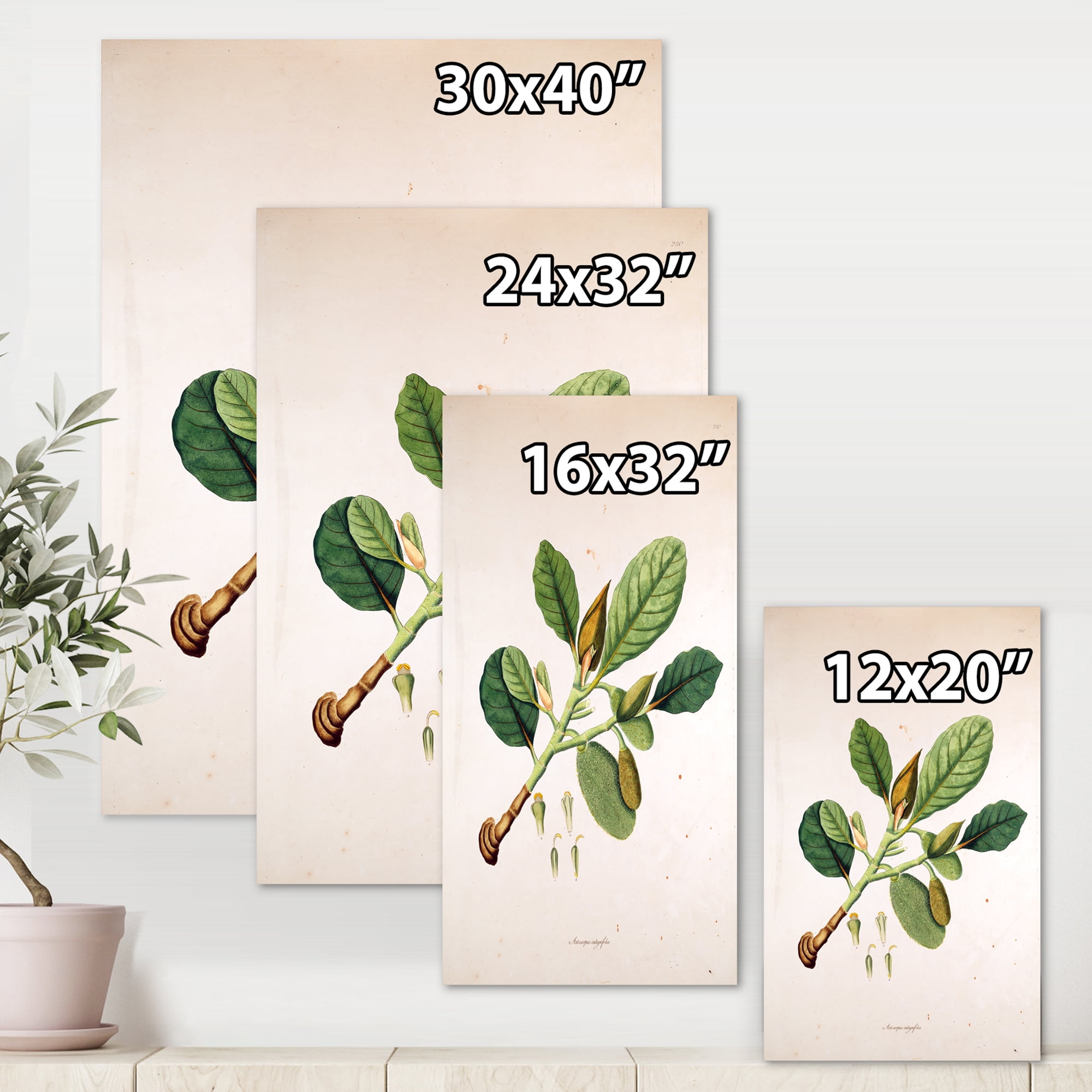 Designart ' Ancient London Plants I ' Farmhouse Canvas Wall Art Print