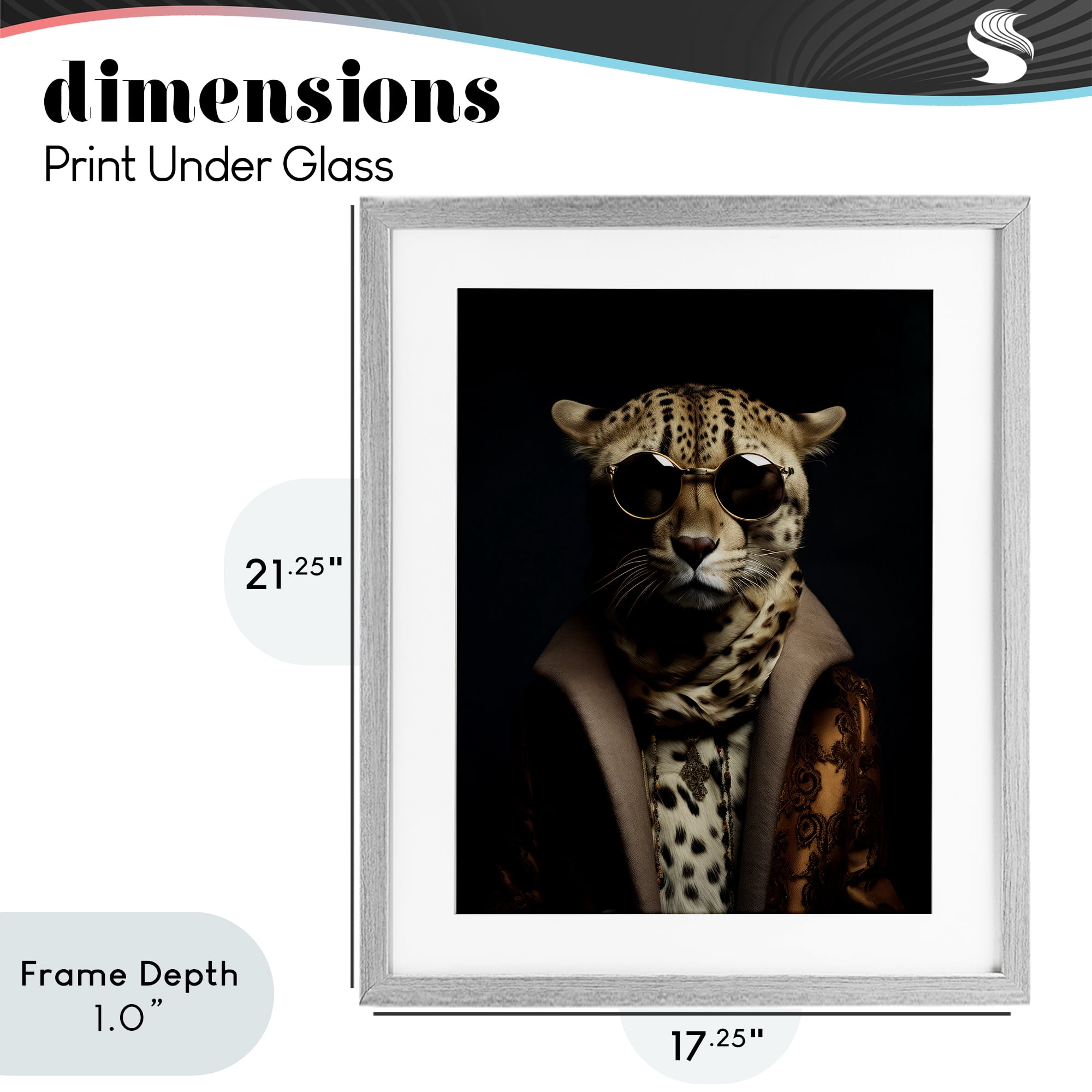 Stupell Industries Luxury Cat Couture Gray Framed Print Under Glass, design by Andrea Haase