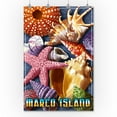 thumbnail image 2 of Marco Island, Shells (36x54 Giclee Gallery Art Print, Vivid Textured Wall Decor), 2 of 3