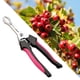 thumbnail image 4 of Descorazonador de espino Ergonómico Portátil Duradero Eficiente Práctico Acero inoxidable Rojo, 4 of 7