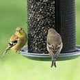 thumbnail image 5 of Perky Pet Dual Mesh Seed Feeder - Gray, 5 of 9