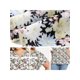 thumbnail image 5 of GRACE & GRANDEUR Blusa Floral Impresa de Pascua para Mujeres de Talla Grande con Cuello de Muesca y Borde de Encaje, Mangas con Volantes, Top Casual de Verano 2X Negro, 5 of 6
