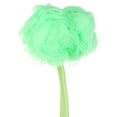 thumbnail image 4 of Loofah Back Scrubber for Shower,Loofah on a Stick , Bath Sponge with Handle, Shower Back Scrubber,PE Soft Mesh Lufas, Exfoliating Luffa for Men and Women,Green, 4 of 5