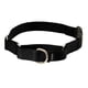 thumbnail image 1 of Collar Martingale PetSafe con hebilla Quick Snap negro, 1 of 5
