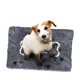 thumbnail image 1 of Felpudo Soggy Doggy con diseño de hueso, chenilla de microfibra, tapete para perros húmedo para interiores, para patas embarradas y secado, tapetes para perros ultraabsorbentes para dormir y descansar, 1 of 1