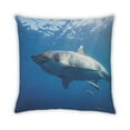 thumbnail image 2 of Ahgly Company Coussin d'Intérieur Animaux Requin, 18 Pouces par 18 Pouces, 2 of 6