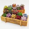 thumbnail image 1 of Succulent Planter Box Decorative Rustic Wooden Rectangular Plant Container Garden Planter Vintage Flower Pot for Indoor Outdoor Plants Vegetables Herbs Flowers, 1 of 3