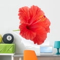 thumbnail image 1 of Red Hibiscus Flower Clipping Wall Decal by Wallmonkeys Peel and Stick Graphic (36 in H x 34 in W) WM162615, 1 of 4