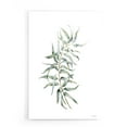 thumbnail image 1 of Epic Art 'Eucalyptus I' by Seven Trees Design, Acrylic Glass Wall Art, 16"x24", 1 of 3