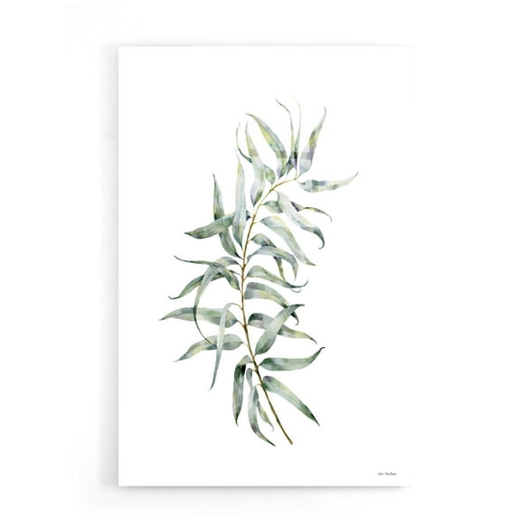 Epic Art 'Eucalyptus I' by Seven Trees Design, Acrylic Glass Wall Art, 16"x24"