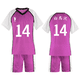 thumbnail image 3 of Disfraz de Anime Hinata Kageyama Nishinoya Sugawara, camiseta y pantalones cortos, uniforme de escuela secundaria, traje de fiesta de Halloween, 3 of 5
