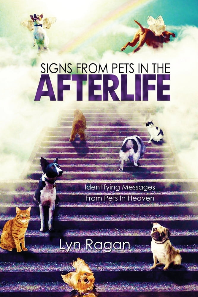 Pre-Owned Signs From Pets In The Afterlife: Identifying Messages From Pets In Heaven (Paperback) 0991641426 9780991641420