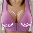 thumbnail image 1 of Sexy push up mujeres más el tamaño de encaje sujetador sin costuras inalámbrico hermosa espalda ajustable bralette reunido sin rastros y anillo de acero ropa interiorpangjing, 1 of 4