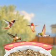 thumbnail image 3 of Hummingbird Feeder Extension, Birdfy Add-ons Bird Feeder with Camera, 18.3 oz Hummingbird Feeders Perch, Red, 3 of 6