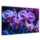 thumbnail image 1 of Cuadro Decorativo Canvas Canvas Revolution Orquídea Luz Sutil 90x60, 1 of 3