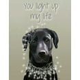 thumbnail image 2 of Fab Funky 12x14 White Modern Wood Framed Museum Art Print Titled - Black Labrador, You Light Up, 2 of 4