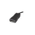 thumbnail image 4 of V7 USB Video Adapter USB-C Male to DisplayPort Female, Black, 4 of 4