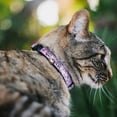thumbnail image 2 of Buckle-Down Breakaway Cat Collar With Bell, Plastic Clip, Easy Adjustable, Stargazer White Pink, 8.5 to 12 Inches 0.5 Inch Wide, 2 of 4