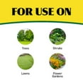 thumbnail image 4 of Ironite Plus Liquid Lawn & Garden Ready to Spray 7-0-1, 32 oz, 4 of 9