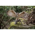 thumbnail image 3 of Hi-Line Gift 12” Animal Eagle Owl Garden Statue, Weatherproof, 3 of 6
