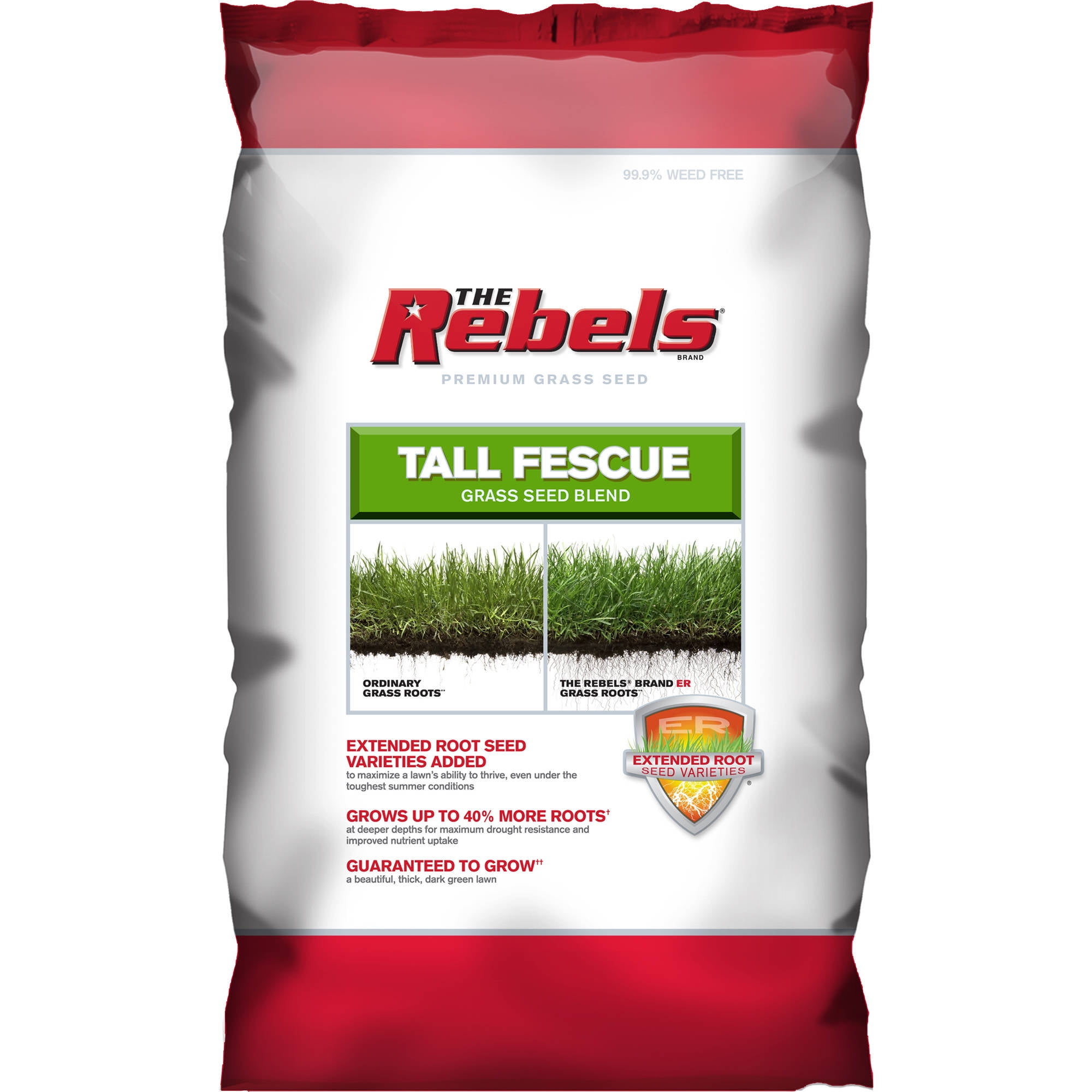 Five star fescue grass seed